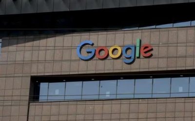 Google invierte US$ 1.9 millones en plataforma para recuperar ecosistemas