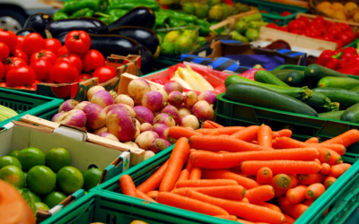 Seguro de Transporte Especializado para Empresas Agroexportadoras