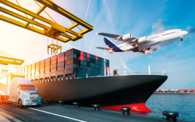 Seguros para el Sector Logístico: Más que una Póliza, una Estrategia de Continuidad Operativa